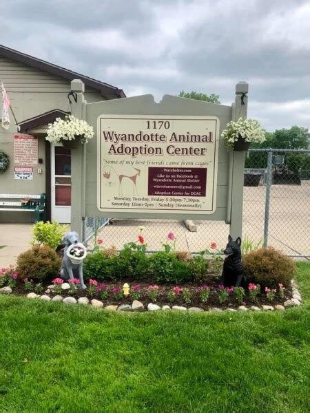 Pets for Adoption at WAG Animal Rescue, in Wyandotte, MI.